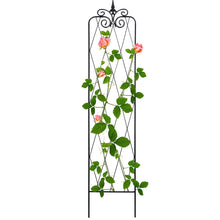 Load image into Gallery viewer, SCENDOR 71inch x15inch Rustproof Metal Vine Trellises A 180cm 2Pack