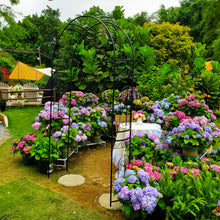 Load image into Gallery viewer, SCENDOR Garden Arbor Curved Metal Arch Trellis for Climbing Plants
