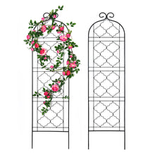 Load image into Gallery viewer, SCENDOR Garden Metal Frame Trellis for Climbing Plants  (60 *16 Inch, Pack of 2, Black)
