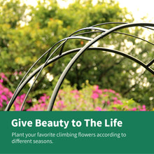 Load image into Gallery viewer, SCENDOR Garden Arbor Curved Metal Arch Trellis for Climbing Plants
